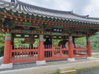 비오는 날 창원 성주사에서 비오는 날 창원 성주사에서 
