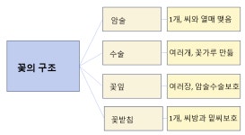 학습능률을 향상시킬 수 있는 공부방법은 무엇일까?