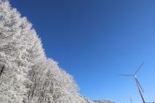 선자령 눈산행