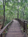 슬기로운 주말 산책