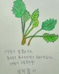 꽃사랑반