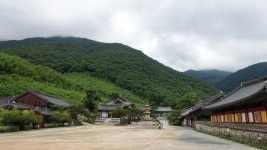 07화 절과 서원의 동거, 밀양 표충사