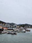 고향 안면도에서
