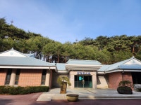 고향 안면도에서