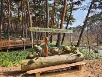 고향 안면도에서