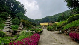 03. 연화산에 깃든 깨달음의 학교
