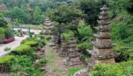 03. 연화산에 깃든 깨달음의 학교