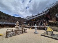 대구 용연사에서