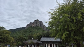 청송 대전사에서