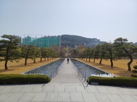 유엔 묘지의 사계