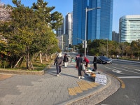 4월 동백섬