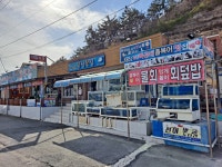 벚꽃을 닮은 섬진강 봄맛