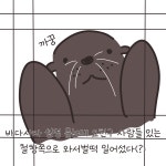 하와이 38일 여행기(10)