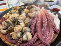 17화 푸르른 가을바다가 부르는 삼척여행