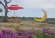 남파랑길 61코스와 순천만가야정원