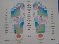 맨발 걷기를 하며 알게된 것