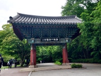 초록의 계절, 계룡산에서 나를 마주하다 초록의 계절, 계룡산에서 나를 마주하다 