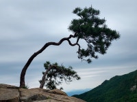 초록의 계절, 계룡산에서 나를 마주하다 초록의 계절, 계룡산에서 나를 마주하다 