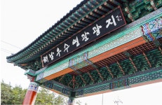 섬 thing special/진도