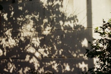 볕,