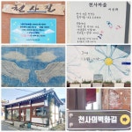 25-14. 전주 노송동 타박타박