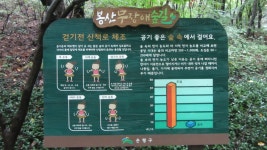 봉산 편백나무 숲길 - 무장애 둘레길 - 산이나우리나 봉산 편백나무 숲길