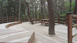 운서역-영종역길 - 걸으면 둘레길 - 산이나우리나 운서역-영종역길