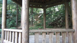 앵봉산 산책길 - 걸으면 둘레길 - 산이나우리나 앵봉산 산책길