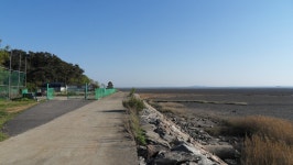 대부도 해솔길5코스 - 걸으면 둘레길 - 산이나우리나 대부도 해솔길5코스