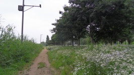 잠실대교 수변 둘레길 - 걸으면 둘레길 - 산이나우리나 잠실대교 수변 둘레길