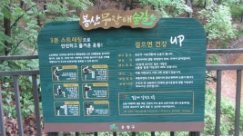봉산 편백나무 숲길 - 무장애 둘레길 - 산이나우리나 봉산 편백나무 숲길