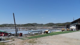 대부도 해솔길5코스 - 걸으면 둘레길 - 산이나우리나 대부도 해솔길5코스