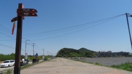 대부도 해솔길5코스 - 걸으면 둘레길 - 산이나우리나 대부도 해솔길5코스