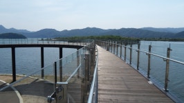 춘천사이로출렁다리 - 걸으면 둘레길 - 산이나우리나 춘천사이로출렁다리