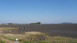 대부도 해솔길5코스 - 걸으면 둘레길 - 산이나우리나 대부도 해솔길5코스