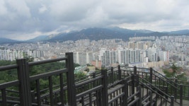 봉산 편백나무 숲길 - 무장애 둘레길 - 산이나우리나 봉산 편백나무 숲길