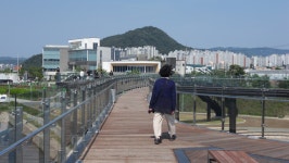 춘천사이로출렁다리 - 걸으면 둘레길 - 산이나우리나 춘천사이로출렁다리