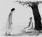 분노의 원인 - 명상수행 공부방 - 목탁소리 분노의 원인