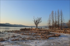 12/30두물머리 여명 - 람보 산행기 - 서울 예솔 산악회 12/30두물머리 여명