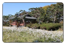 10/18논산 온빛 자연휴양림,도로공사 전주수목원,관촌 사선대,임실치즈 테마파크랜드 - 람보 산행기 - 서울 예솔 산악회 10/18논산 온빛... 