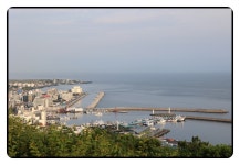 7/12제주,이호테우 버베나꽃밭,비밀의숲,두산봉,글렌코카페,사라봉... 버베나꽃밭,비밀의숲,두산봉,글렌코카페,사라봉,용연구름다리