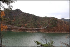 11/9충북 제천 옥순봉 출렁다리 개통 - 람보 산행기 - 서울 예솔 산악회 11/9충북 제천 옥순봉 출렁다리 개통