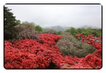 4/26전주 완산공원 - 람보 산행기 - 서울 예솔 산악회 4/26전주 완산공원