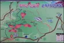3/23여수 영취산,오동도,섬진강 벚꽃길 - 람보 산행기 - 서울 예솔 산악회 3/23여수 영취산,오동도,섬진강 벚꽃길