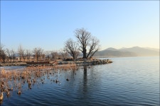 12/30두물머리 여명 - 람보 산행기 - 서울 예솔 산악회 12/30두물머리 여명