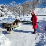 가볼만한곳 덕유산.대둔산.무등산.월정사.대관령 양떼목장.발왕산.원대리 자작나무숲길.제주 한라산1100고지 - 람보 산행기 - 서울 예솔 산악회... 
