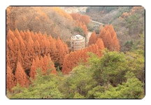 11/15남원 광한루,계룡시 입암 저수지,장태산 휴양림 - 람보 산행기 - 서울 예솔 산악회 11/15남원 광한루,계룡시 입암 저수지,장태산 휴양림