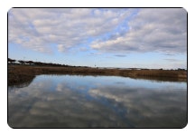 .10/25남이섬단풍,인제용소폭포,남대천억새,설악항일출 - 람보 산행기 - 서울 예솔 산악회 .10/25남이섬단풍,인제용소폭포,남대천억새,설악항일출