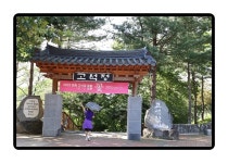 9/9철원 고석정 꽃밭,경포대,평창 백일홍 축제 - 람보 산행기 - 서울 예솔 산악회 9/9철원 고석정 꽃밭,경포대,평창 백일홍 축제