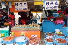 1/26강원도 당일 여행 - 람보 산행기 - 서울 예솔 산악회 1/26강원도 당일 여행